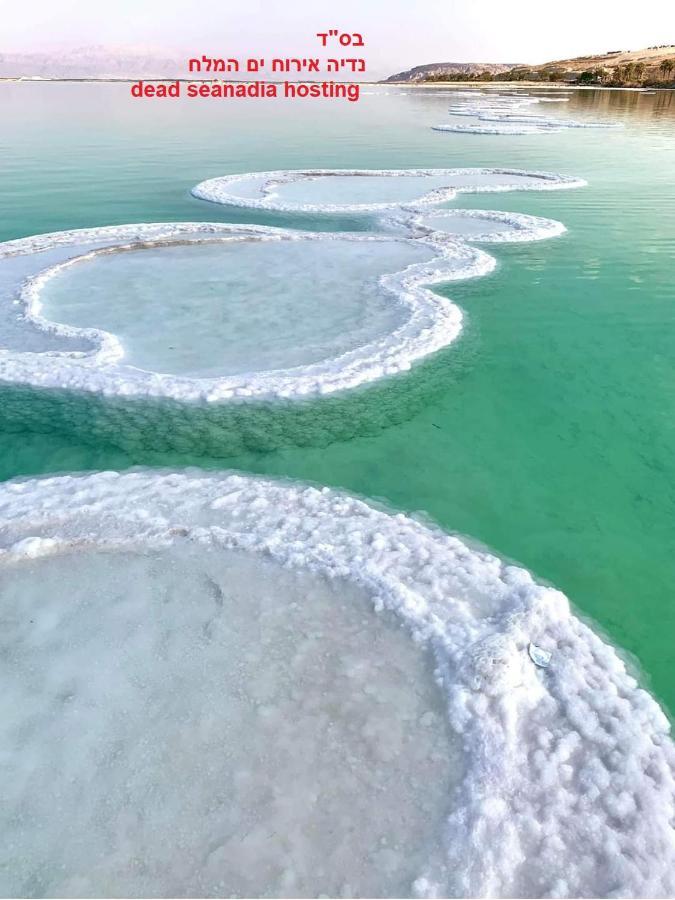 Vila Nadia Hosting Dead Sea Neve Zohar Exteriér fotografie