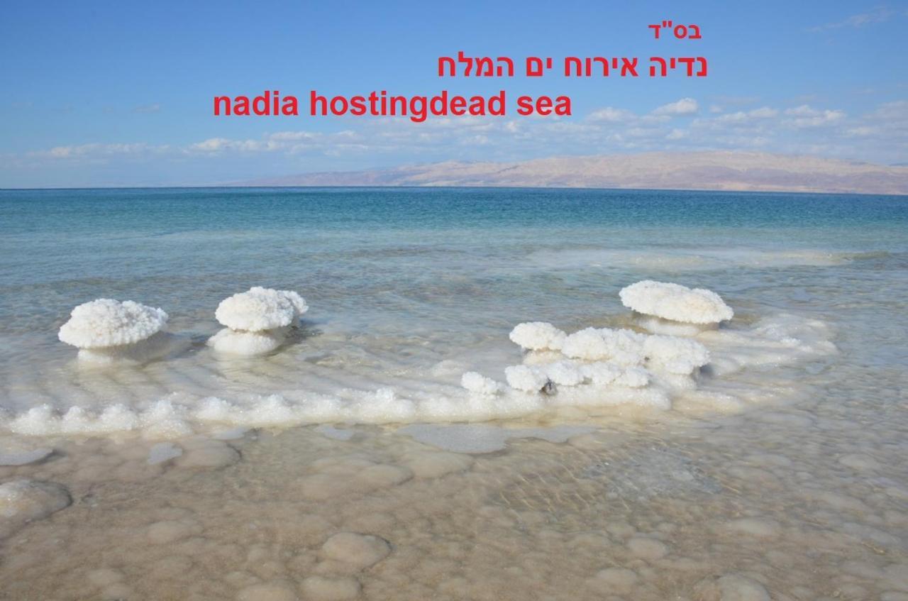 Vila Nadia Hosting Dead Sea Neve Zohar Exteriér fotografie