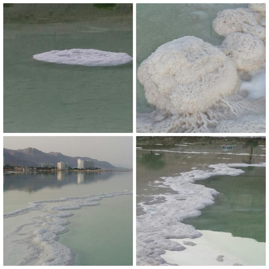 Vila Nadia Hosting Dead Sea Neve Zohar Exteriér fotografie