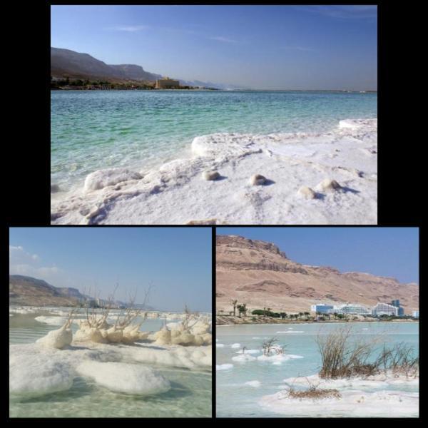Vila Nadia Hosting Dead Sea Neve Zohar Exteriér fotografie