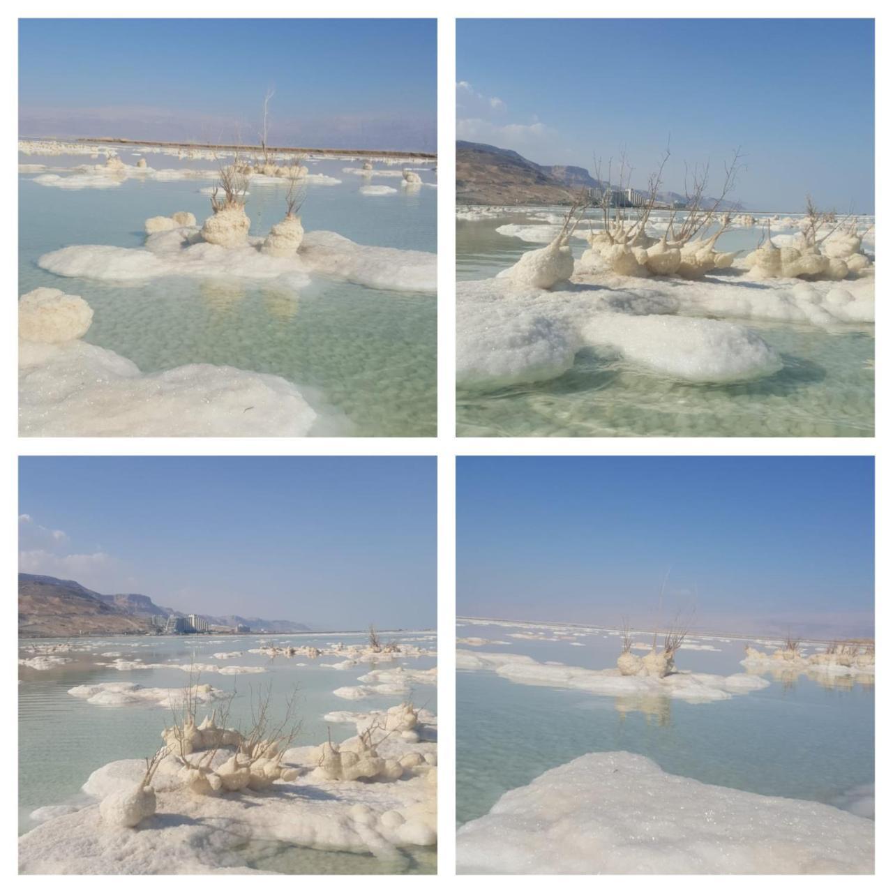 Vila Nadia Hosting Dead Sea Neve Zohar Exteriér fotografie