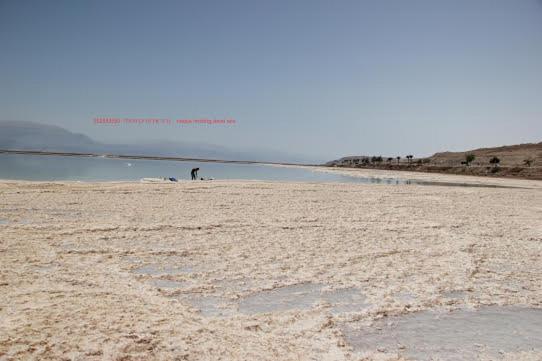 Vila Nadia Hosting Dead Sea Neve Zohar Exteriér fotografie